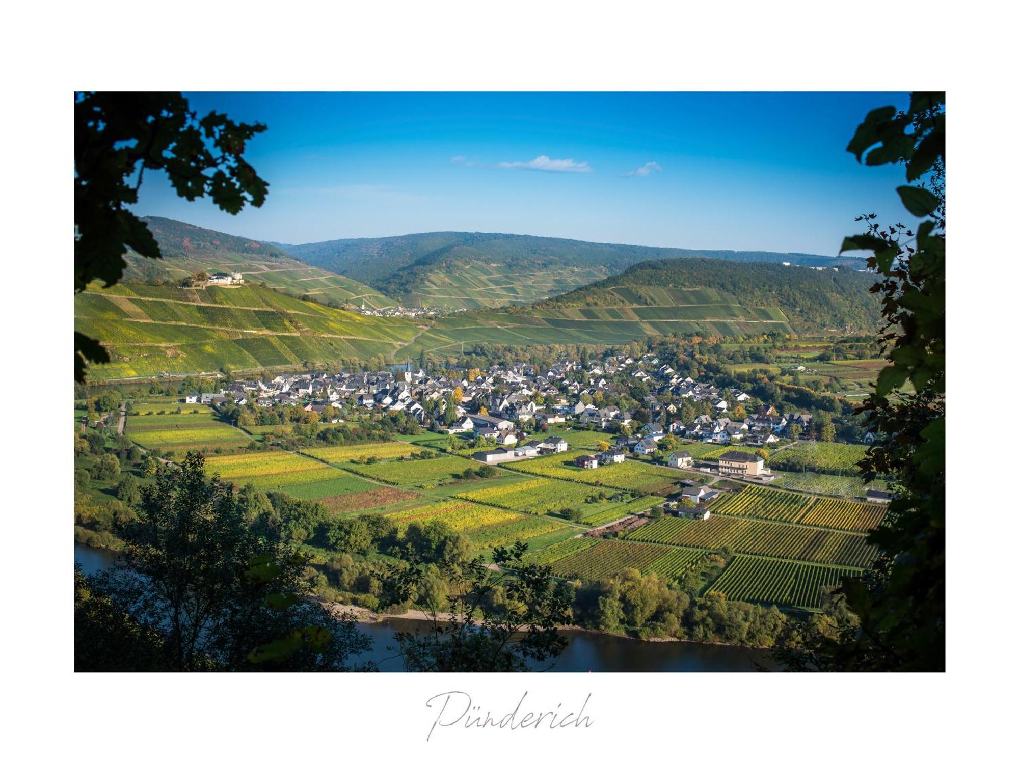 Apartamento Ferienweingut Lütz Pünderich Exterior foto